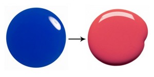 azul-e-coral